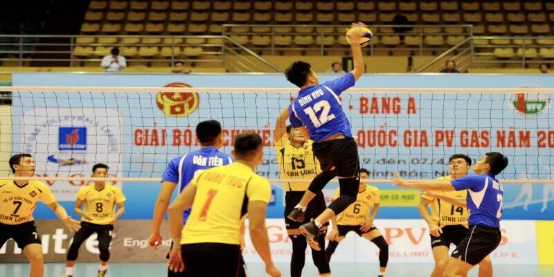 Hiểu rõ về luật chơi và các loại hình cá độ bóng chuyền